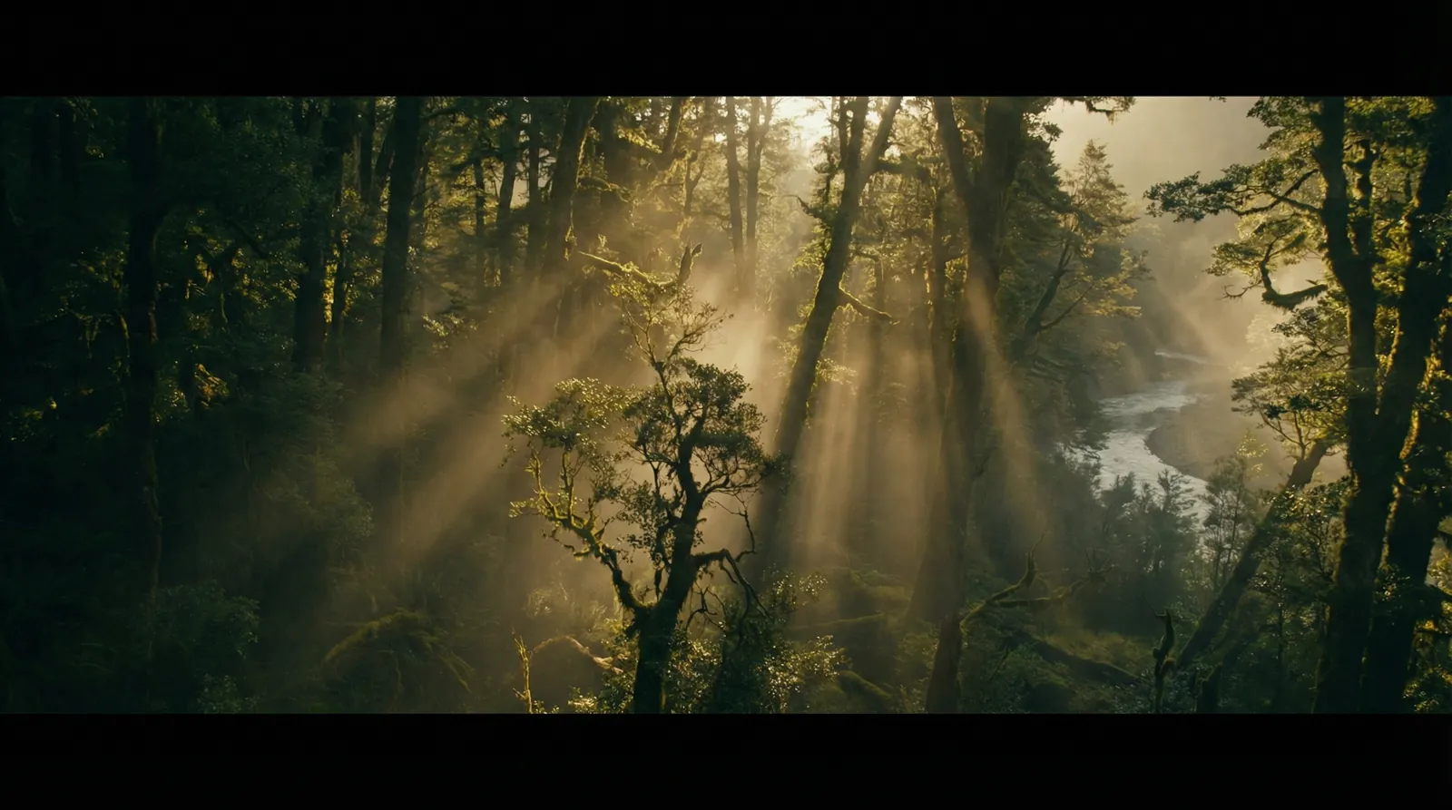 天劫online 自然纪录片风格调色案例